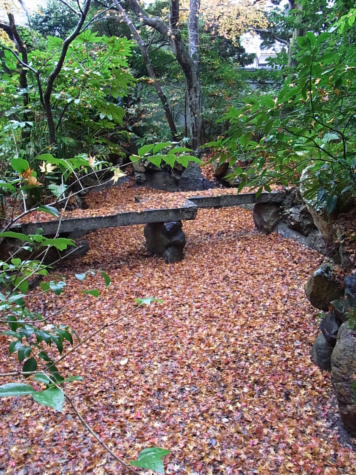 東多田夢勝庵の秋風景　池に落ちた紅葉