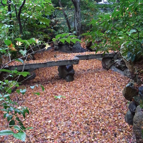 国の登録文化財「夢勝庵」紅葉庭の庄屋屋敷